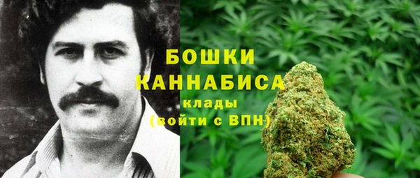 дмт Михайловск