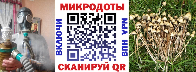 как найти закладки  Бакал  Псилоцибиновые грибы Cubensis 