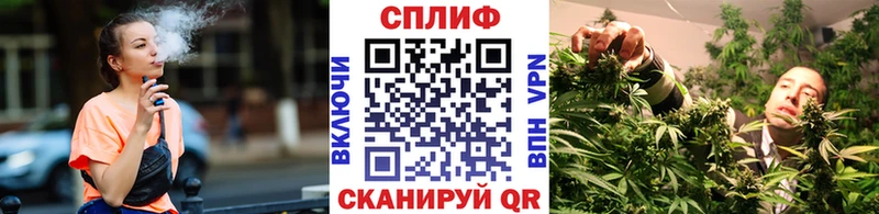Бошки Шишки Amnesia  Бакал 